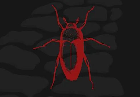 ‘Cockroaches Never Die’: Viral Movement Promises To Return After Website Takedown