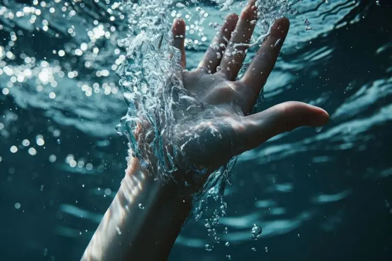 College student drowns