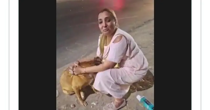 Kaddu Found; Social Media Calls It Day’s Best News