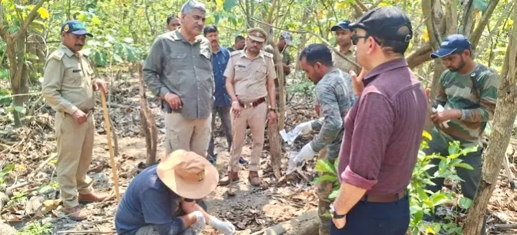 Two Tiger Cubs Poisoned, Mutilated In Uttarakhand’s Haridwar; Search Underway For Mother