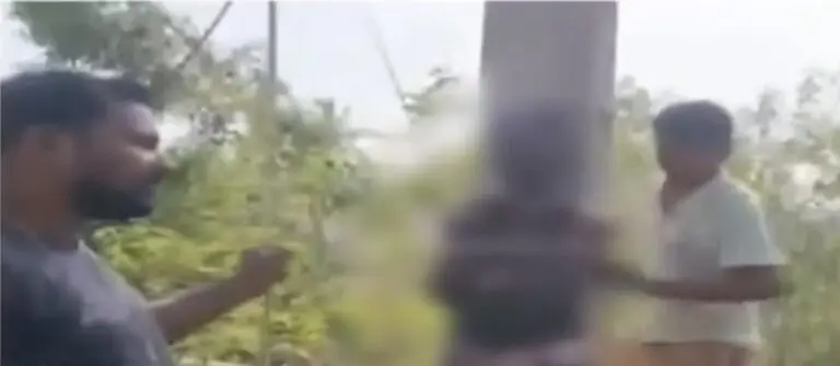 Power Outage Fury: Odisha Villagers Tie Three Linemen To Pole