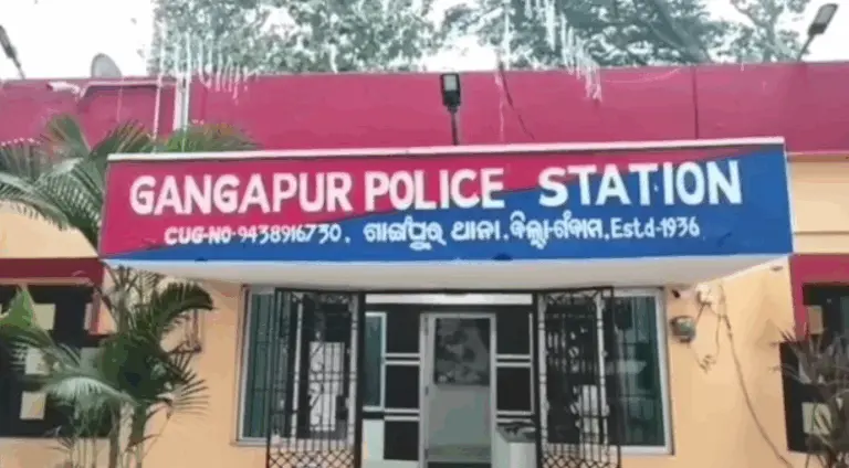Woman Critical After Axe Attack By Husband In Odisha Village