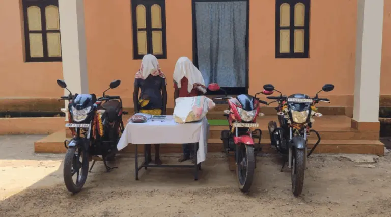 3 Arrested With Melanistic Tiger Skin In Odisha’s Similipal
