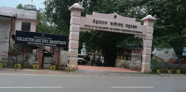 Disqualification Proceedings Sought Against Odisha Sarpanch Over 2-Child Norm Violation