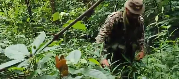 Security Forces Intensify Search In Manipur’s Kangpokpi District For Hostages Held By Armed Groups