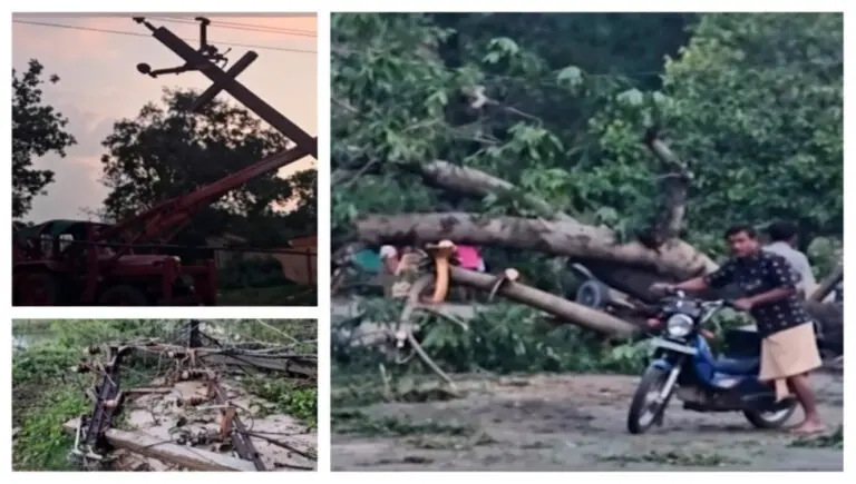 Uprooted Trees, Downed Poles: Kalbaisakhi Fury Leaves Odisha’s Bonai In 32 Hours Of Darkness