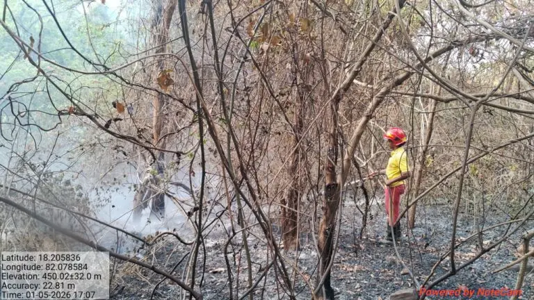 Over A Dozen States Affected By Forest Fire In India Amid Heatwave, Here’s How