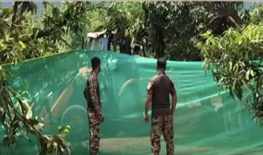 Forester Suspended, Another Issued Show-Cause Notice Over Jumbo Carcass Case In Odisha