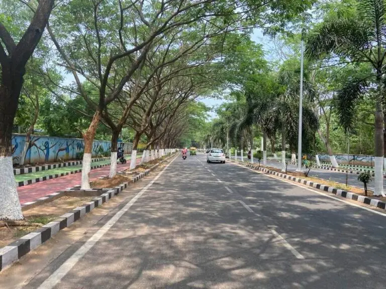Restoring Tribhubaneswar: Time To Reclaim The City’s Natural Air Conditioning