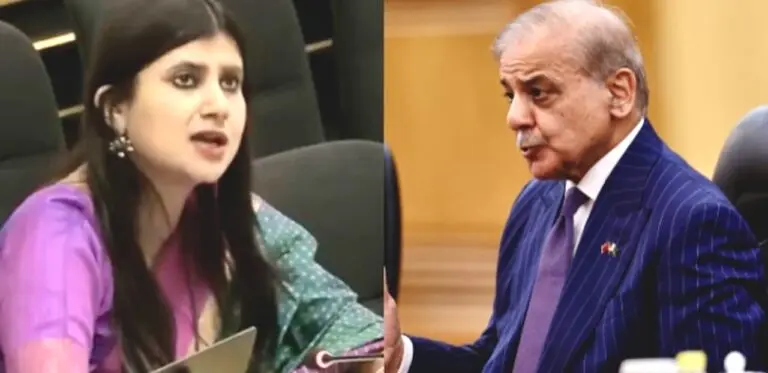 “Shocked When Own Monster Bites Back”; India Slams Pakistan At UN