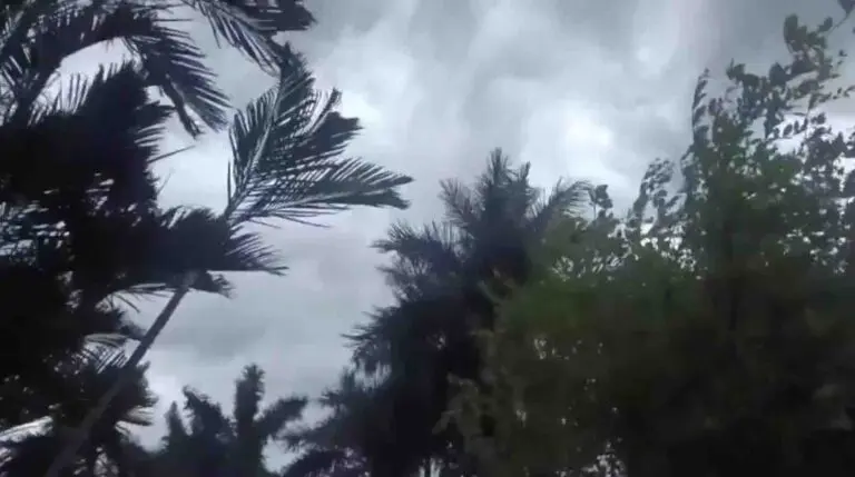 Thunderstorm, Hail & Rain To Lash 8 Odisha Dists By 6PM; Red Alert For Cuttack