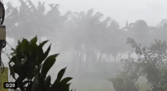 IMD Issues Heavy Rain Warning For Odisha As Monsoon Onset Nears, Temp To Fall After 3 Days