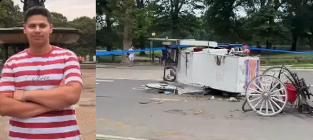 Indian Teen Dies In New York Accident After Horse Bolts And Carriage Crashes