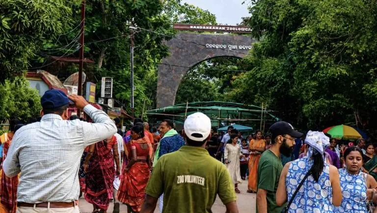 Nandankanan Zoo On Bhubaneswar Outskirts Sees Record Raja Turnout; Open Today