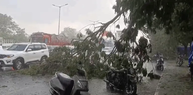 Rain, Hailstorm Batter Bhubaneswar Uprooting Trees; IMD Issues Yellow Alert For 11 Odisha Dists This Evening