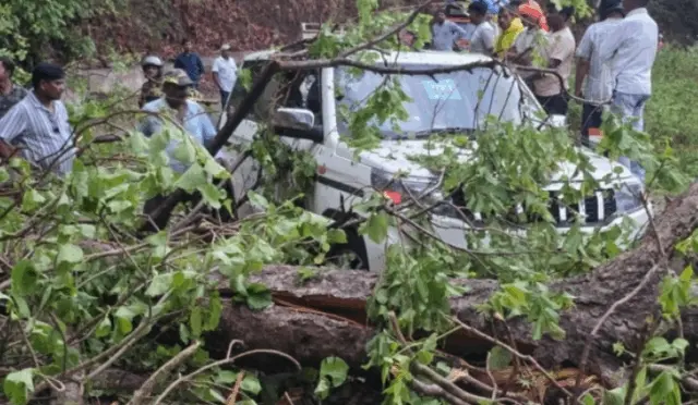 Narrow Escape For Odisha MLA Mangu Khilla After Tree Falls On Vehicle During Storm