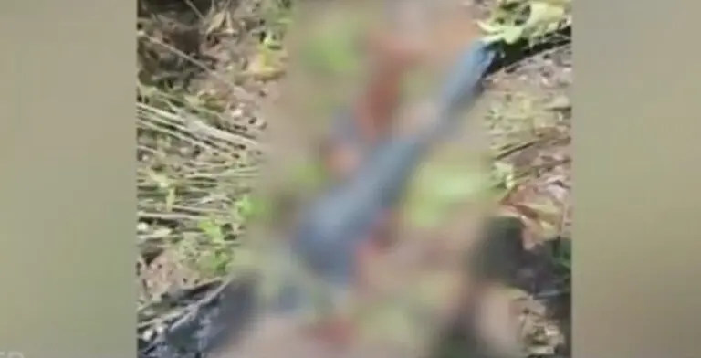 Skeletal Remains Of Missing Man Found In Odisha’s Similipal, Villagers Blame Royal Bengal Tiger