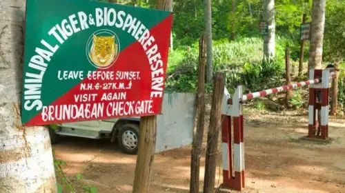 Odisha’s Similipal Tiger Reserve To Be Closed To Visitors From June 29