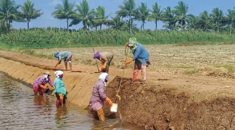 Odisha To Launch ‘VB-G RAM G’ Scheme From July 1; Promises 125 Days Of Rural Work