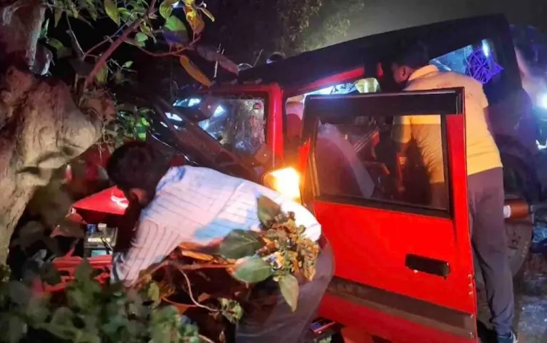 3 Of Family Die In Odisha After Late-Night Hospital Dash Ends In Fatal Tree Collision