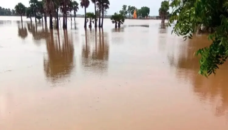 Salandi River Crosses Danger Mark At Rajghat; Check Flood Situation In Odisha