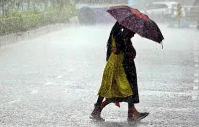 Schools To Remain Closed In Three Odisha Districts On Monday Due To Forecast Of Heavy Rainfall On Monday