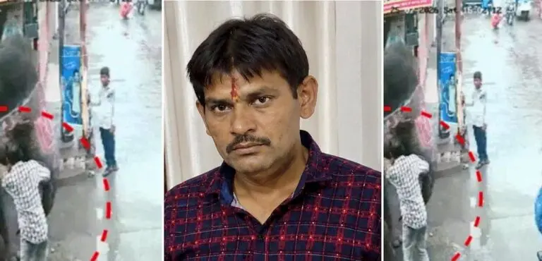 Auto-Rickshaw Driver Trampled To Death By Jumbo He Was Trying To Feed In Indore