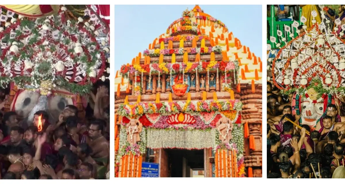 Puri Rath Yatra: Adapa Darshan Of Deities Begins At Gundicha Temple