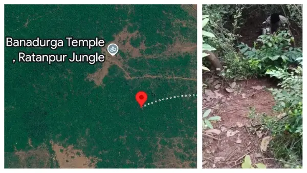 10% Battery, No GPS: How Odisha Police Rescued Woman Lost In Woods After Fighting Off Rapist