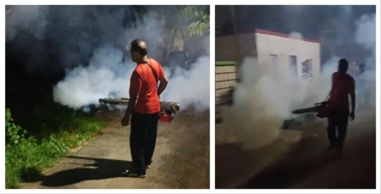Dengue Prevention Drive Intensified In Bhubaneswar, 12 Cases Reported