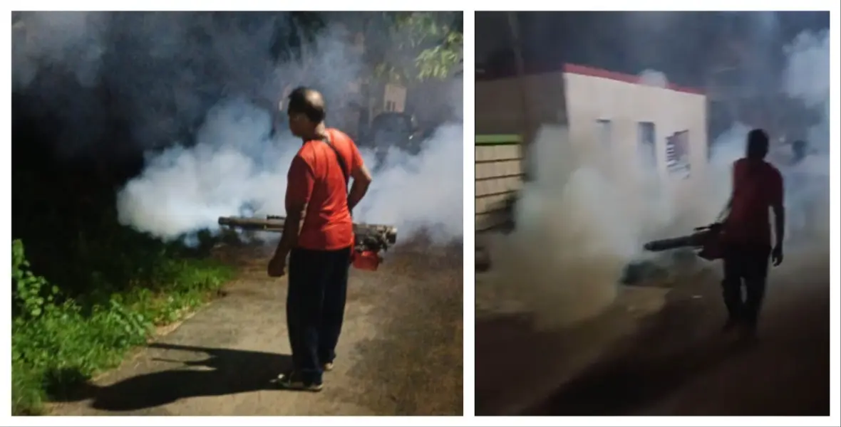 Dengue Prevention Drive Intensified In Bhubaneswar, 12 Cases Reported