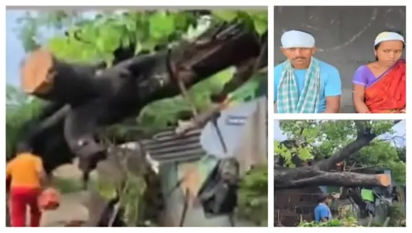 Family Of 3 Trapped In Home Struck By 200-Year-Old Peepal Tree Amid Heavy Rain In Odisha
