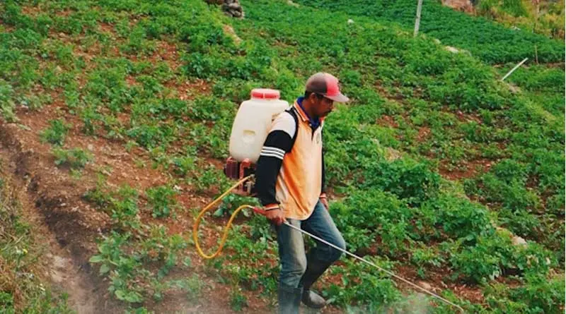 Paraquat ban in India