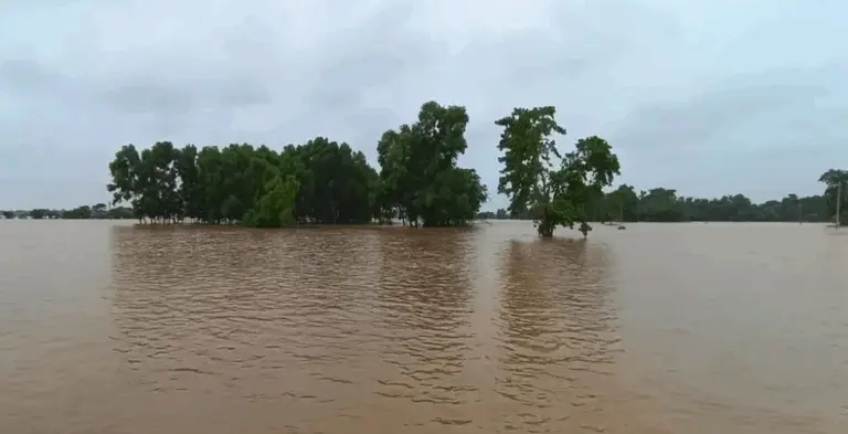 Minor Flood Likely In Baitarani As Incessant Rain Hits Life In Odisha, Sonpur Posts Highest 328.4 MM