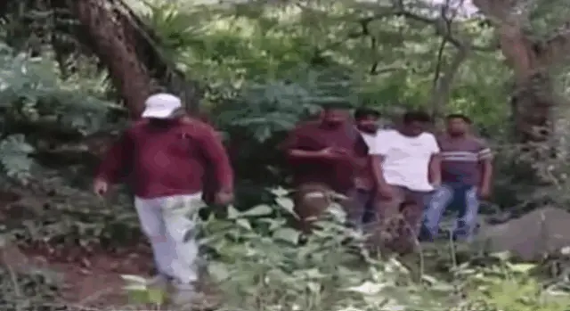 Leopard Found Hanging From Tree In Odisha’s Ganjam, Probe Launched