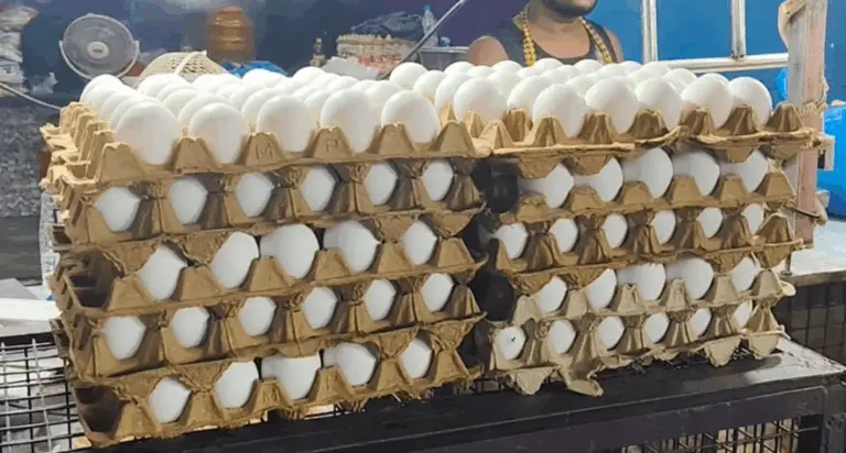 Egg Prices Go Up In Odisha, Check Govt Strategy To Meet Demand