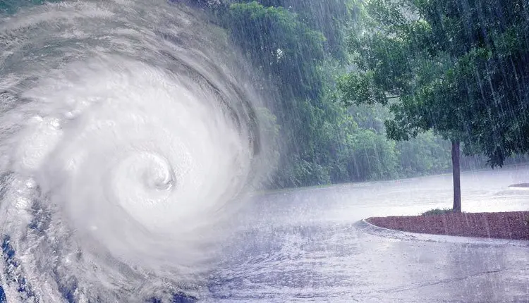 Odisha Braces For More Heavy Rains As Fresh Low Pressure Brews Over Bay