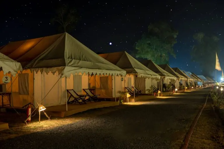 From Buddhist Heritage To Tiger Reserves: Odisha’s Eco Retreat Adds 4 Unexplored Circuits