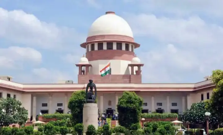 Centre To Ensure Demarcated Pathway For Pedestrians On Every Road: SC
