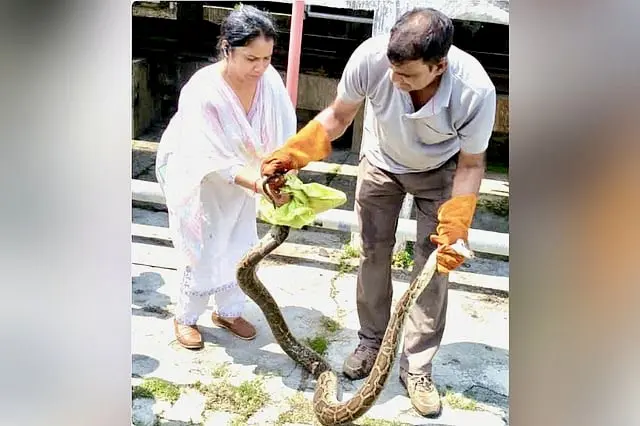 Python’s Bid To Hitch Ride On Vande Bharat Ends In Capture