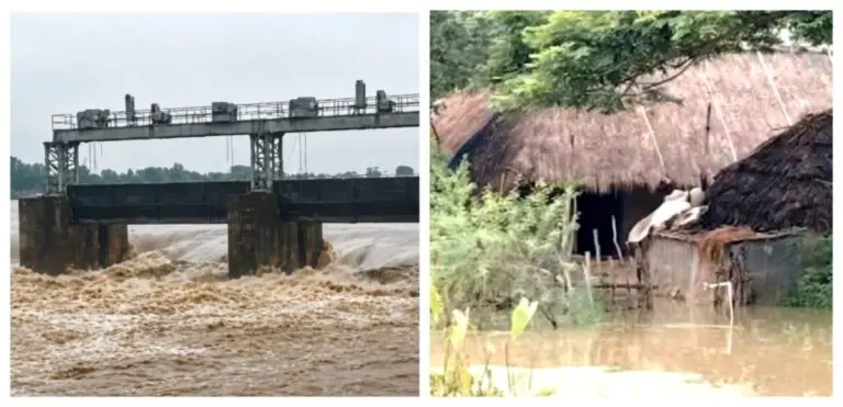 Odisha Floods: Situation Grim As Water Levels Of Major Rivers Top Danger Mark
