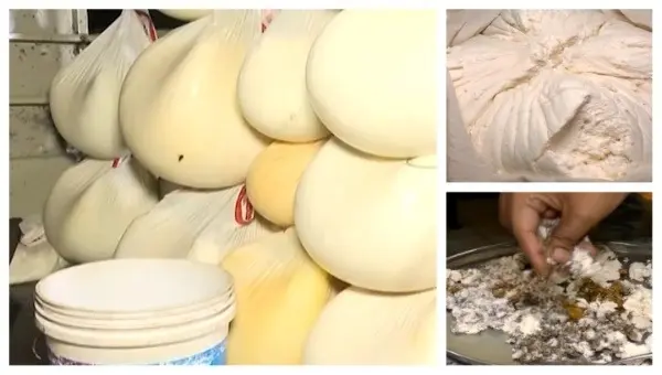 2nd Crackdown In 48 Hours: 7K Kg Adulterated Paneer Seized From 7 Vehicles In Odisha’s Kataka