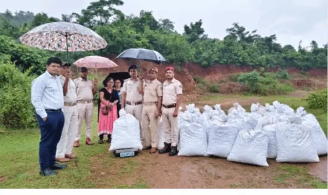 Ganja Worth Over Rs 1 Cr Seized From Forest In Odisha’s Malkangiri