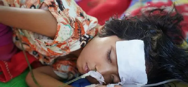 Centre Steps Up Chandipura Virus Probe, Sends National Response Team To Gujarat, Rajasthan