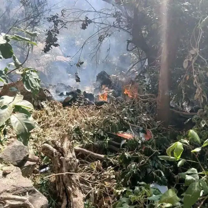Ecuador’s Intel Chief Killed In Kenya Helicopter Crash: Report