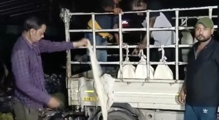 71 Quintals Of Adulterated Paneer, 66 Kg Of Stale Food Seized In Kataka-Bhubaneswar Raids