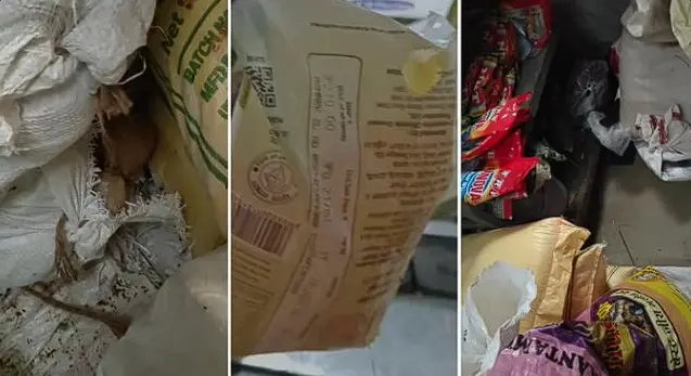 Rats, Worms Found At Bengaluru Indira Canteens; Gottigere Kitchen, Zepto Warehouse Sealed