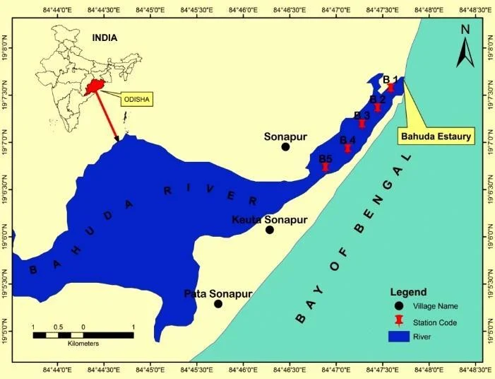 Bahuda estuary