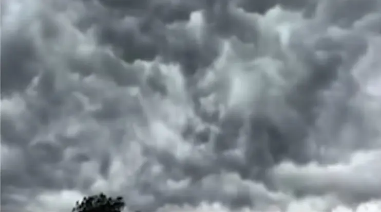 Don’t Create Panic, Says IMD DG Amid ‘Cyclone Threat To Odisha’ Rumours; Heavy Rain Likely From Sept 22–26