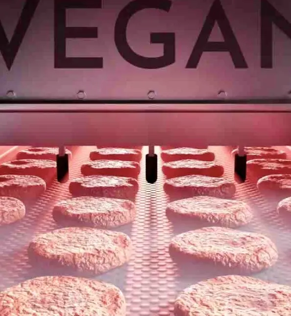 Every Plant-Based Meat Alternative Tested Contained Fungal Toxins, UK Study Finds